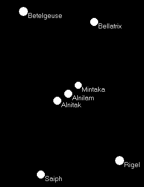 Скауты в лесах - img_38.png