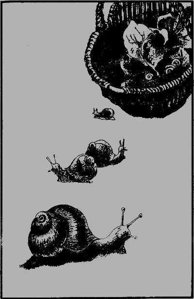 Капитан Памфил - _1.png