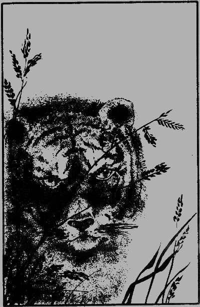 Капитан Памфил - _3.png