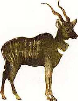 Соседи по планете Млекопитающие - i_019.jpg