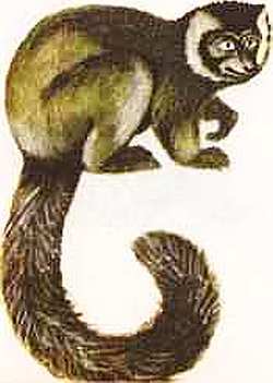 Соседи по планете Млекопитающие - i_021.jpg