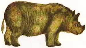 Соседи по планете Млекопитающие - i_026.jpg