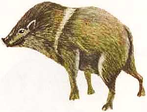 Соседи по планете Млекопитающие - i_029.jpg