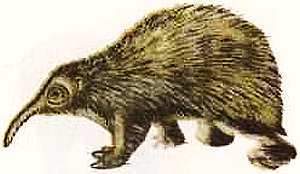 Соседи по планете Млекопитающие - i_030.jpg