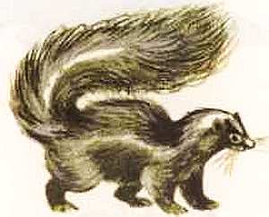 Соседи по планете Млекопитающие - i_032.jpg