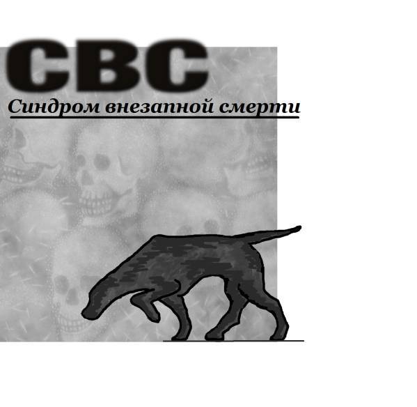 СВС (Синдром Внезапной Смерти) (СИ) - _0.jpg