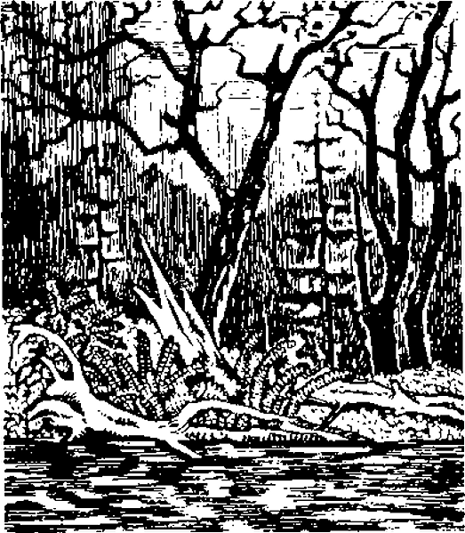 Соленый берег - i_003.png