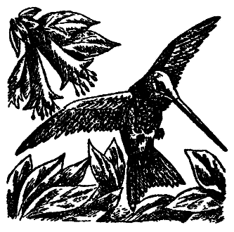 Тайны легендарных стран - i_009.png