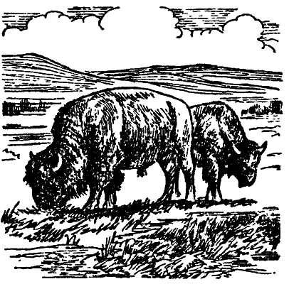 Тайны легендарных стран - i_023.png