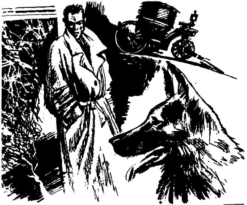 Пейзаж с Булли - i_001.jpg