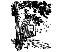 Том 1. Рассказы, сказки, повести - n_178.png