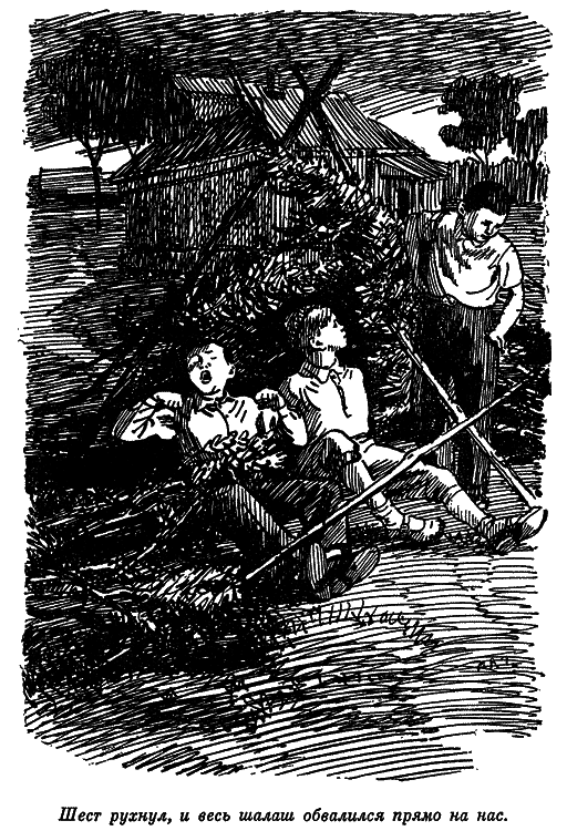 Том 1. Рассказы, сказки, повести - n_180.png