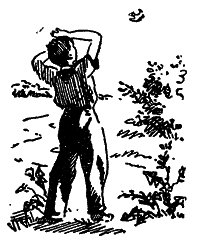 Том 1. Рассказы, сказки, повести - n_181.png