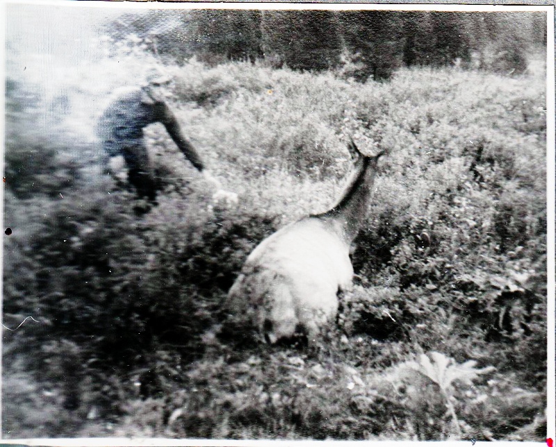 Саянский дневник - i_011.jpg