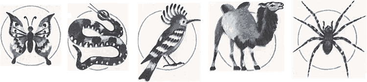 Соседи по планете: Птицы - i_002.png