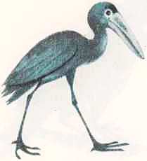 Соседи по планете: Птицы - i_003.jpg