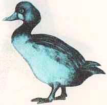 Соседи по планете: Птицы - i_008.jpg