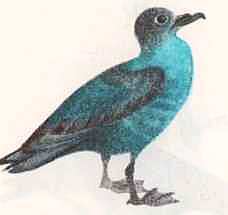 Соседи по планете: Птицы - i_009.jpg