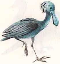 Соседи по планете: Птицы - i_016.jpg