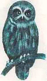 Соседи по планете: Птицы - i_021.jpg