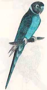 Соседи по планете: Птицы - i_023.jpg