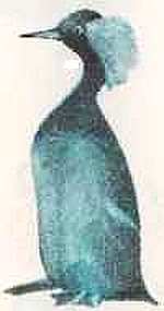 Соседи по планете: Птицы - i_024.jpg