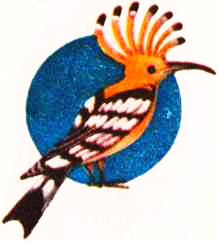 Соседи по планете: Птицы - i_094.png