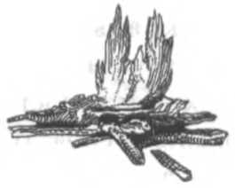 На исходе дня. История ночи - i_006.jpg