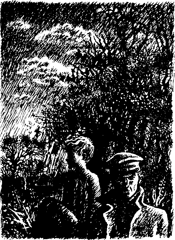 Когда улетают журавли - i_001.png