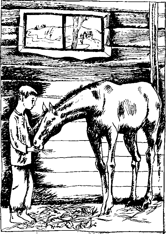 В стране долгой весны - i_004.png