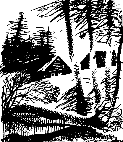 Чистые струи - i_001.png