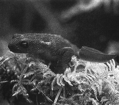 Приспособиться и выжить! - i_056.jpg