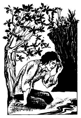 Предводитель волков - any2fbimgloader4.jpeg