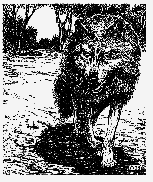 Предводитель волков. Вампир (сборник) - _1.png