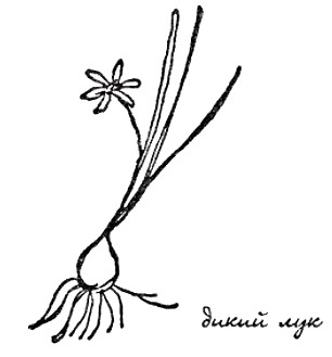 Моя сторона горы - i_020.jpg