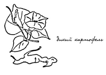 Моя сторона горы - i_021.jpg