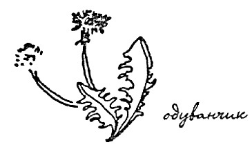 Моя сторона горы - i_024.jpg