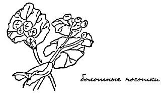 Моя сторона горы - i_026.jpg