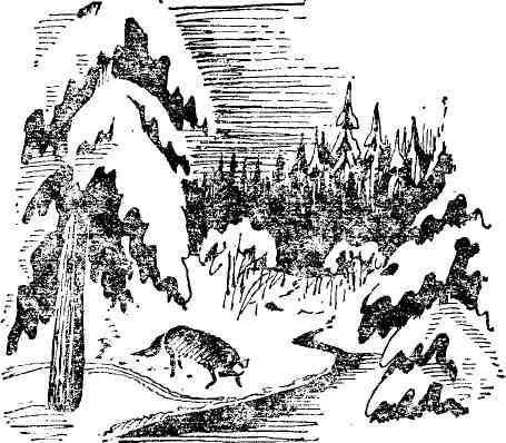 Повести - img_4.jpeg