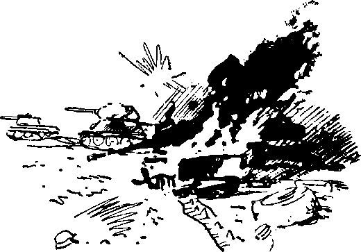 Укрощение «тигров» - i_007.jpg