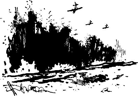 Укрощение «тигров» - i_010.jpg