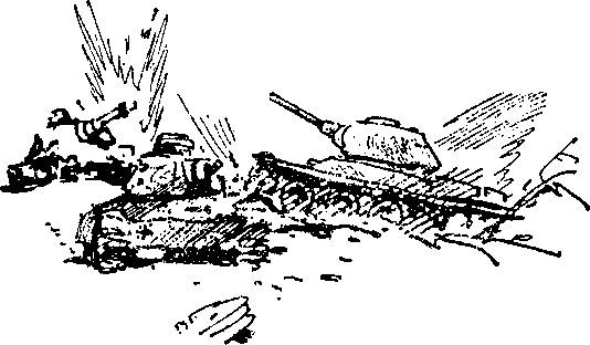 Укрощение «тигров» - i_013.jpg