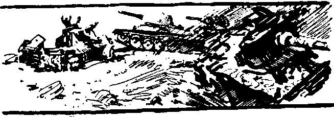 Укрощение «тигров» - i_016.jpg