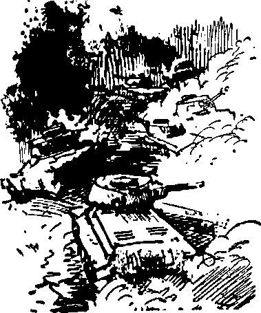 Укрощение «тигров» - i_017.jpg