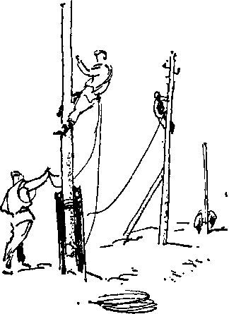 Укрощение «тигров» - i_045.jpg