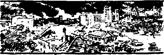 Укрощение «тигров» - i_046.jpg