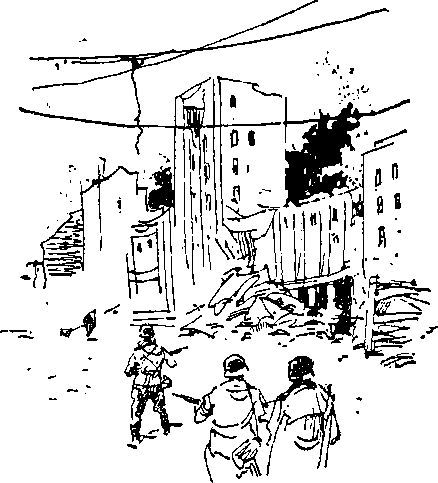 Укрощение «тигров» - i_047.jpg