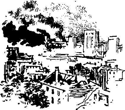 Укрощение «тигров» - i_050.jpg