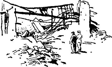 Укрощение «тигров» - i_059.jpg