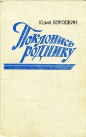  Бородкин Юрий Серафимович - Поклонись роднику